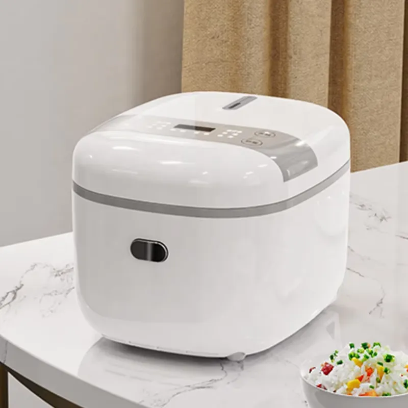 Cuociriso Digitale da 2L, Mini - Meal Prep Healthy recensione e prezzo